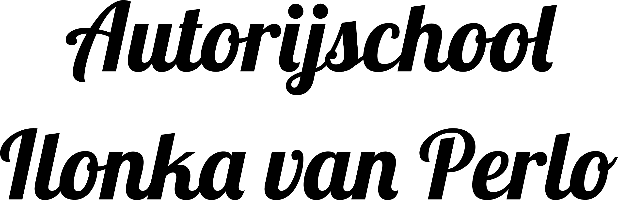 Autorijschool Ilonka van Perlo